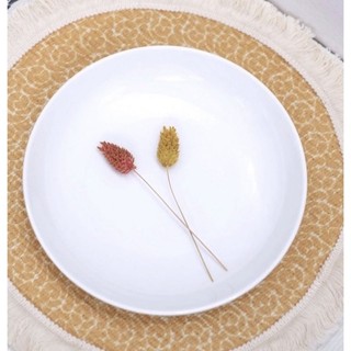 Dĩa Sứ Trắng tròn 8inch 20cm