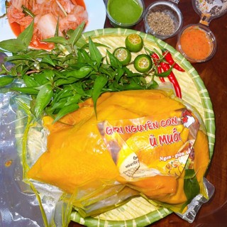  GÀ Ủ MUỐI HOA TIÊU CHÍNH GỐC LOẠI GÀ TA. 