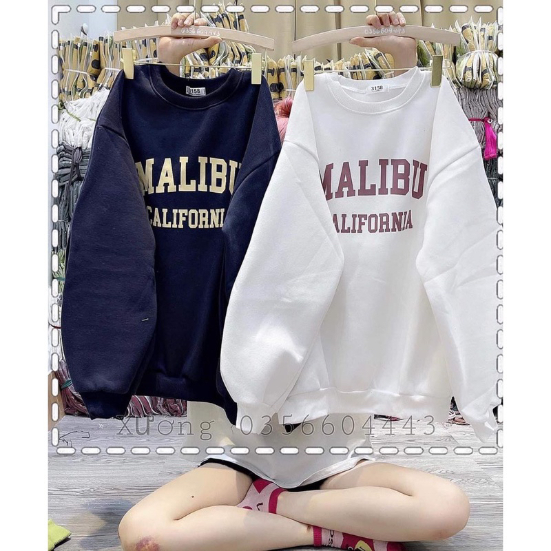 Áo sweater nỉ bông in chữ Cyansude Unisex Nam Nữ Mặc Thoải mái