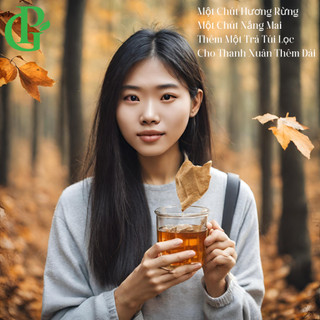 Trà lá nam túi lọc thải độc - đông y phùng gia
