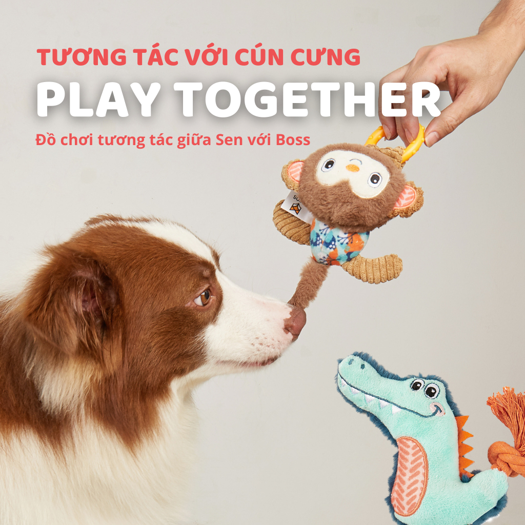 Đồ chơi cho chó FOFOS, Đồ chơi nhai gặm hình cá sấu, Tiếng kêu vui nhộn, Giúp làm sạch răng nướu chó, Vải nhung mềm mại