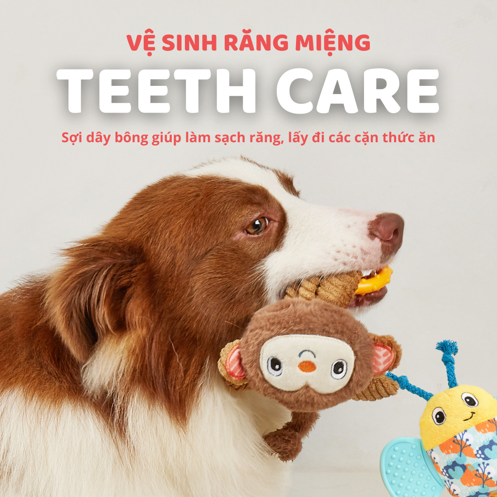 Đồ chơi cho chó FOFOS, Đồ chơi nhai gặm hình cá sấu, Tiếng kêu vui nhộn, Giúp làm sạch răng nướu chó, Vải nhung mềm mại