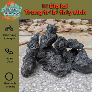 2 KG đá đen Gia Lai- phụ kiện trang trí hồ cá cảnh thủy sinh