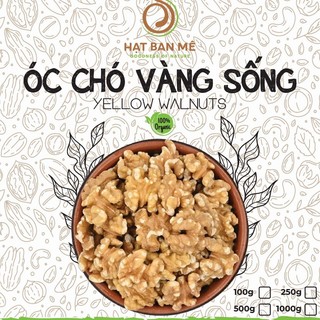 Nhân óc chó vàng - quả óc chó vàng - nhập khẩu mỹ - hạt ban mê food