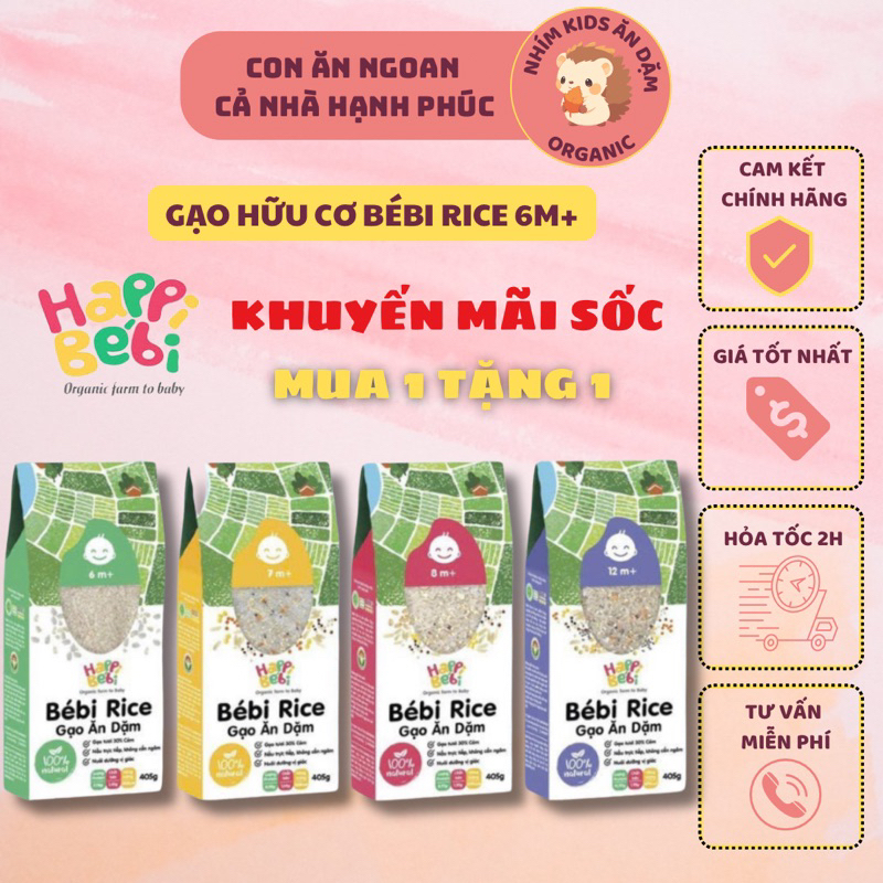 Gạo Mầm Hữu Cơ Trộn Hạt Dinh Dưỡng Cho Bé Ăn Dặm BeBi Rice 405g