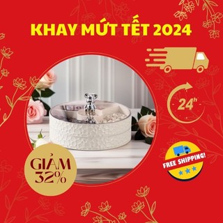 Khay mứt tết, hộp đựng bánh kẹo, khay mứt gấu bearbrick