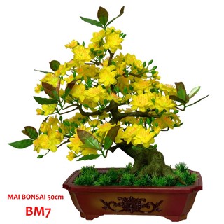 Chậu cây hoa mai giả trang trí tết bm7 sp009242