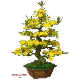 Chậu cây hoa mai bomsai giả trang trí tết BM10 cao 60cm