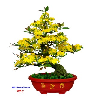 Chậu cây hoa mai giả trang trí tết bm17 sp009251