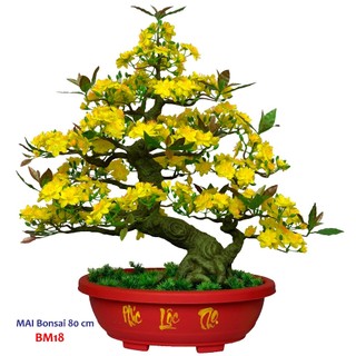 Chậu cây hoa mai bomsai giả trang trí Tết BM18 cao 80cm