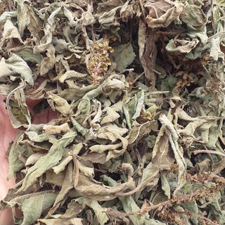 Hương nhu khô dưỡng và thơm tóc (100gr)