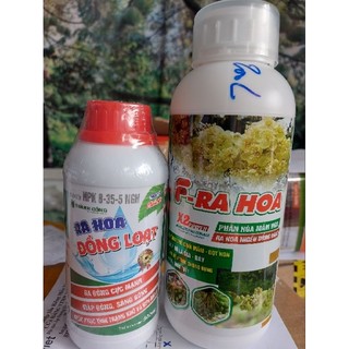 Bộ đôi kích bông: ra hoa đồng loạt kết hợp f - ra hoa