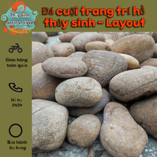 Bao 500G đá cuội trang trí hồ cá cảnh, thủy sinh- Phụ kiện trang trí hồ cá cảnh thủy sinh