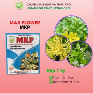 PHÂN BÓN MKP - TẠO MẦM HOA KÍCH THÍCH RA HOA