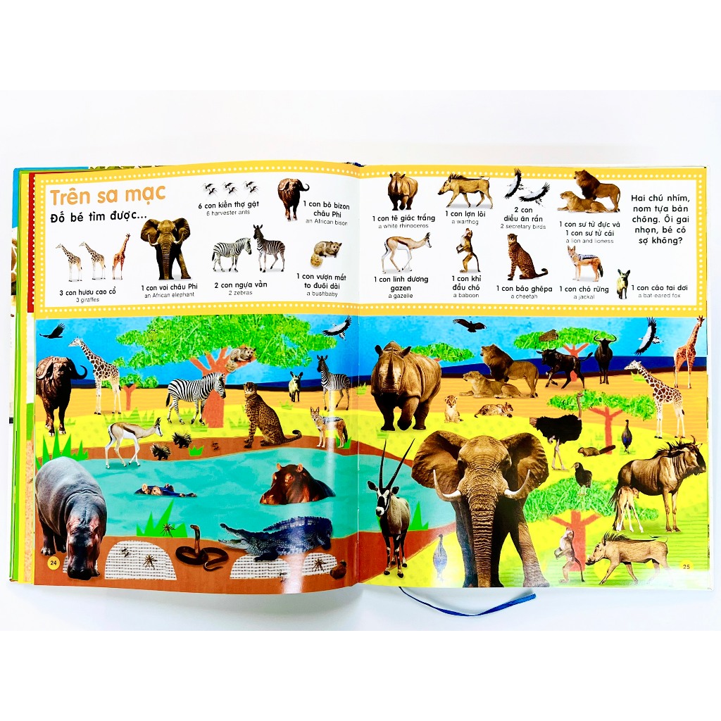 Sách - Từ Điển Bằng Hình Cho Trẻ Mầm Non - Trốn Tìm Những Từ Đầu Tiên, Động Vật - Bìa Cứng