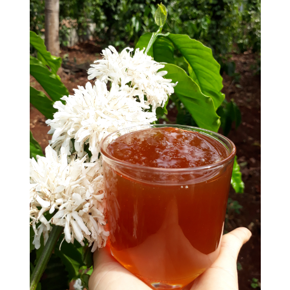 Mật ong hoa cà phê 1000ml