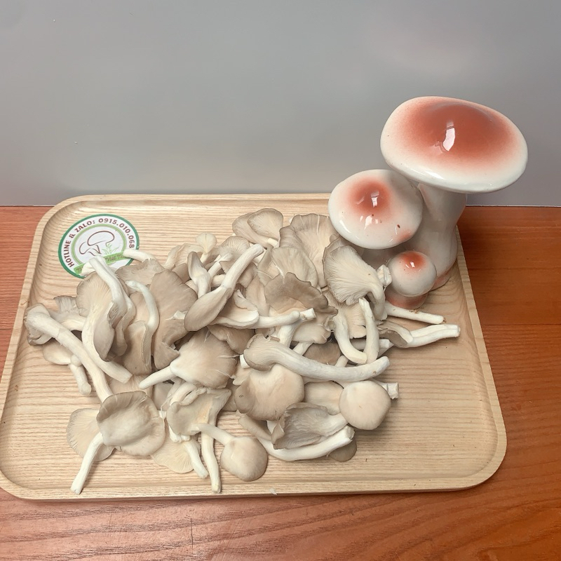 Nấm Ăn Lẩu - Nấm Sò Nâu / Trắng  | Nấm Sạch Việt Nam