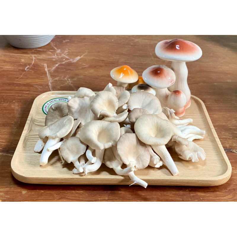 Nấm Ăn Lẩu - Nấm Sò Nâu / Trắng  | Nấm Sạch Việt Nam