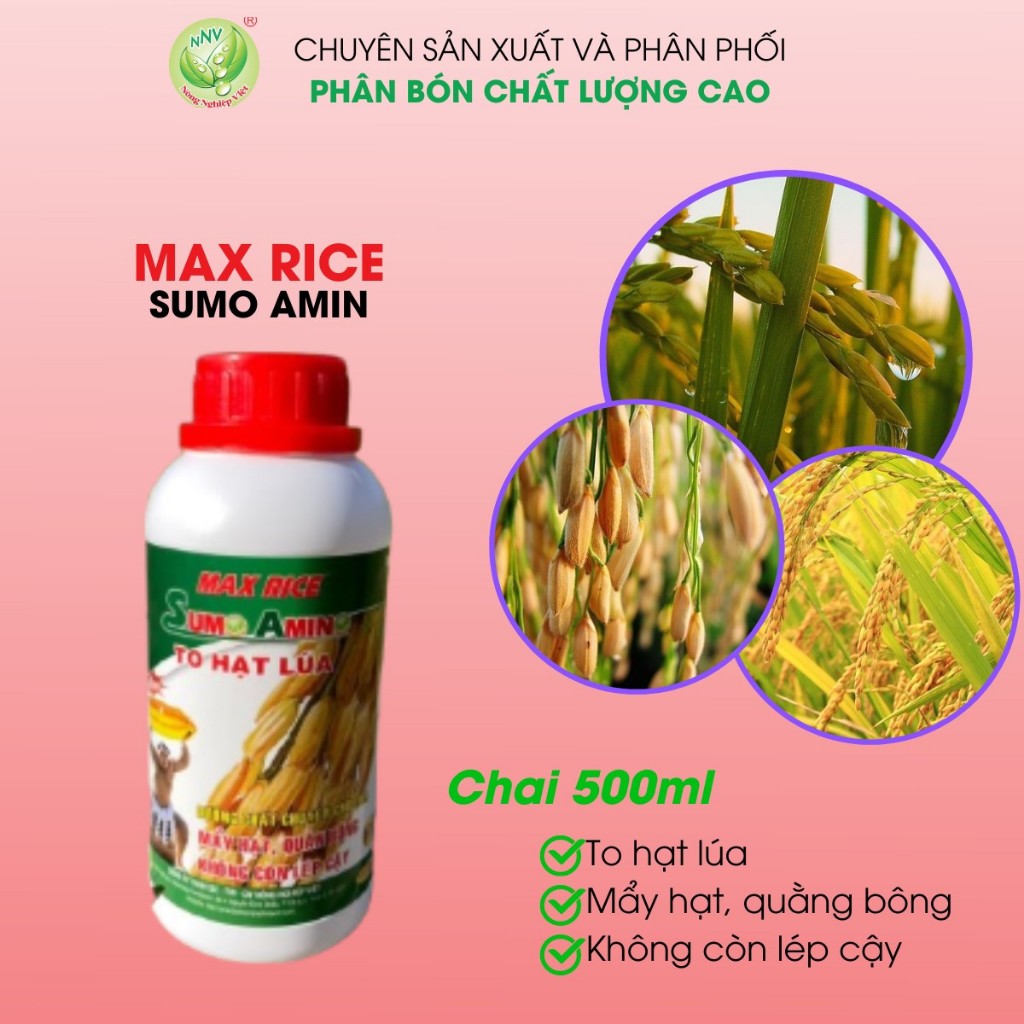 Phân Bón Cho Lúa To Hạt Max Rice Sumo Amino Chai 0,5 Lít - Mẩy Hạt, Quằn Bông, Không Còn Lép Cậy