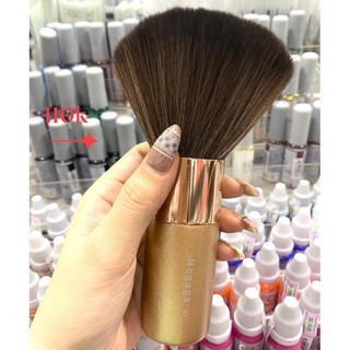 Phủi bụi khổng lồ
