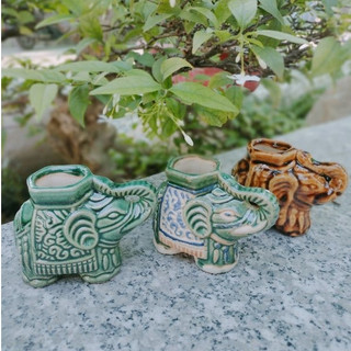 💥💢Ống Tăm Con Voi (Kiểu Xưa)🤗💢(Nhiều màu đa dạng) 🥰