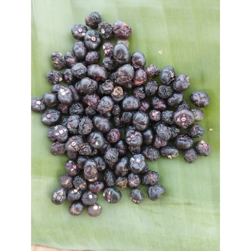 Combo 50 hột rau Mồng Tơi Xanh lá to làm giống