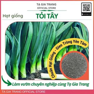 Hạt giống tỏi tây (hành baro) F1 rất thơm ngon