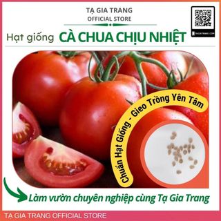 Hạt giống cà chua chịu nhiệt da bóng, thịt dày, vị ngọt