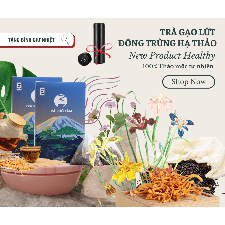 { TẶNG BÌNH TRÀ GIỮ NHIỆT } 2 hộp trà phổ tâm hạt sen đông trùng hạ thảo an thần, cải thiện sức khoẻ, hạ huyết áp