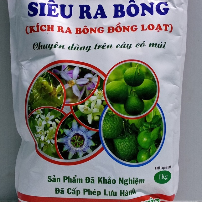 Phân bón chuyên dùng cho cây có múi SIÊU RA BÔNG - KÍCH RA BÔNG ĐỒNG LOẠT
