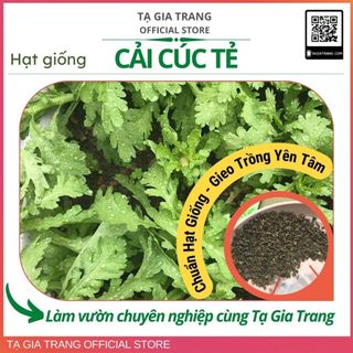 Hạt giống cải cúc tẻ (rau tần ô) - Gói 10000/ 5000/ 2000 hạt