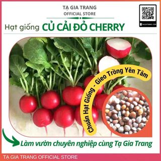 Hạt giống củ cải đỏ cherry, củ cải đỏ baby năng suất cao