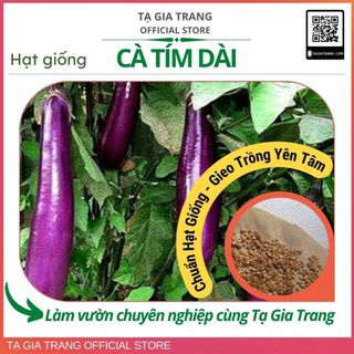 Hạt giống cà tím dài ruột xanh