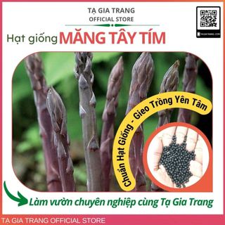 Hạt giống măng tây tím