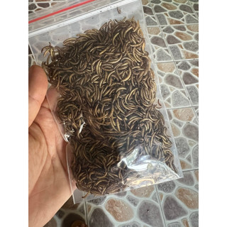 Sâu gạo sấy khô 20g cho hamster, nhím, chim cảnh