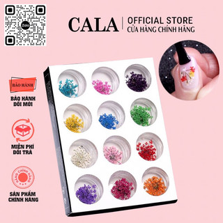 Set hoa khô ẩn móng- hoa nhí ẩn móng gel 12 màu - set hoa khô chùm 12 màu hoa khô 3D cánh nhỏ