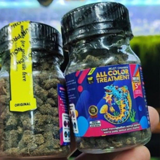 Cám ALL COLOR Cá Lóc Nữ Hoàng vaf Hỗ trợ màu Đỏ-Cam-Vàng từ Bangfish "Top INDO"