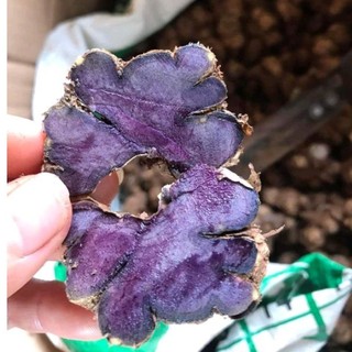 1Kg-Gừng Đen (N ga.i đen,Ng a i tím) Đào Rừng chắc lọi đậm