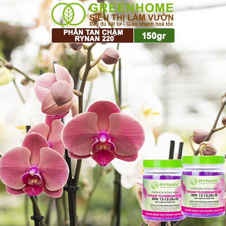 Phân Tan Chậm Greenhome, Rynan 220, Chai 150gr, Dùng Cho Phong Lan Ra Hoa, Giúp Hoa Bền Màu, Cánh Dày, To, Thơm Lâu