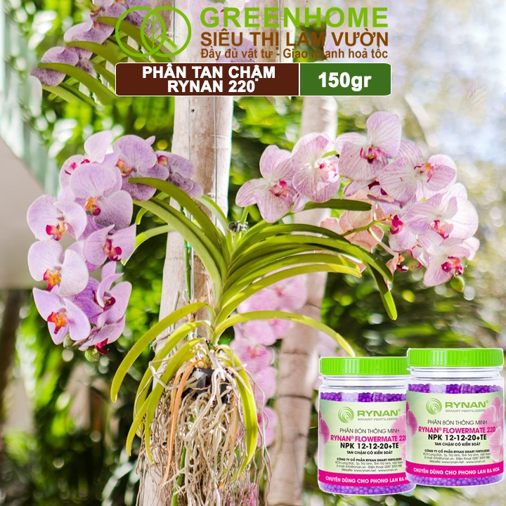 Phân Tan Chậm Greenhome, Rynan 220, Chai 150gr, Dùng Cho Phong Lan Ra Hoa, Giúp Hoa Bền Màu, Cánh Dày, To, Thơm Lâu