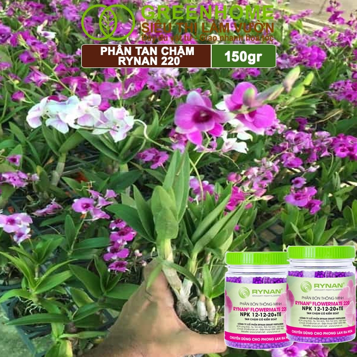 Phân Tan Chậm Greenhome, Rynan 220, Chai 150gr, Dùng Cho Phong Lan Ra Hoa, Giúp Hoa Bền Màu, Cánh Dày, To, Thơm Lâu