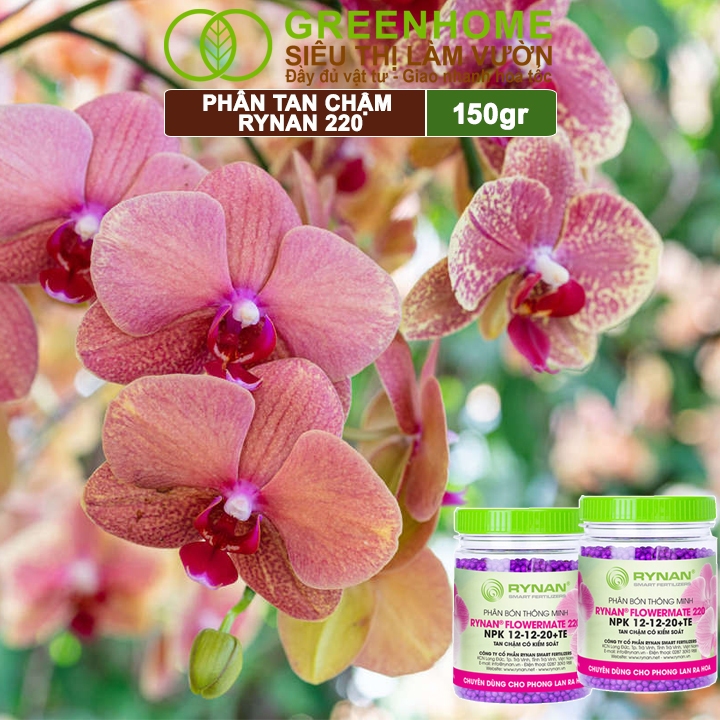 Phân Tan Chậm Greenhome, Rynan 220, Chai 150gr, Dùng Cho Phong Lan Ra Hoa, Giúp Hoa Bền Màu, Cánh Dày, To, Thơm Lâu