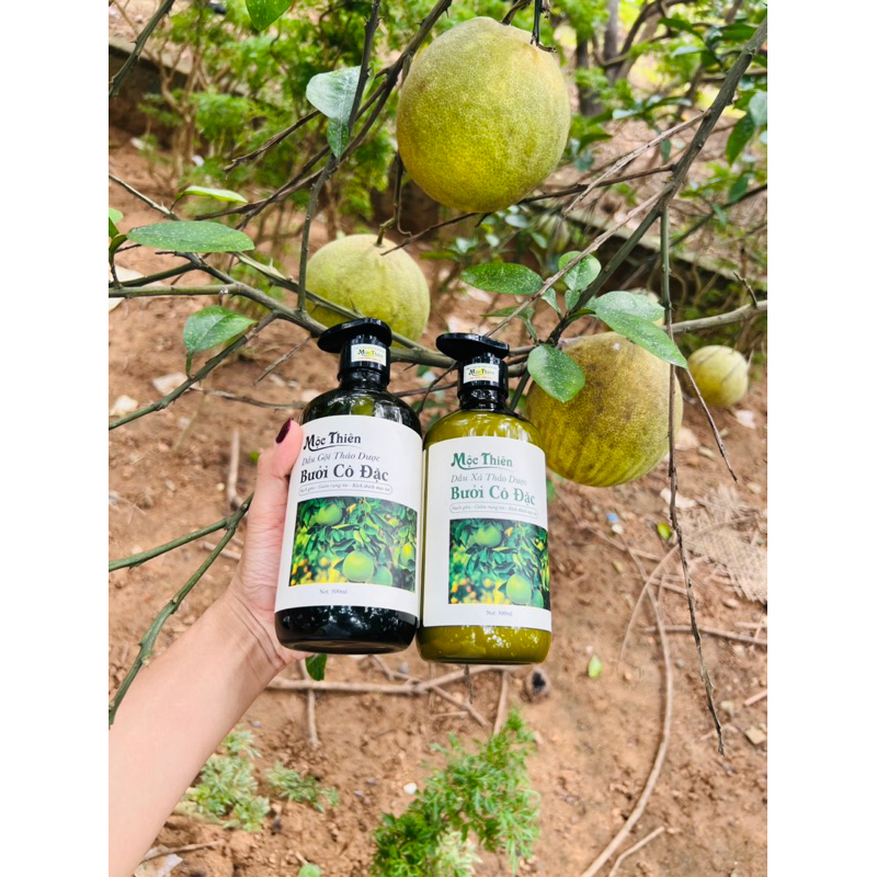 Dầu Gội Xả Bưởi Mộc Thiên, Mềm Mượt Phục Hồi Mọc Tóc 500ml x2