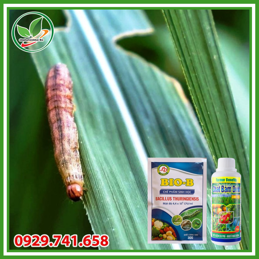 Combo chế phẩm trừ sâu sinh học biob gói 30g và chất bám dính 120ml