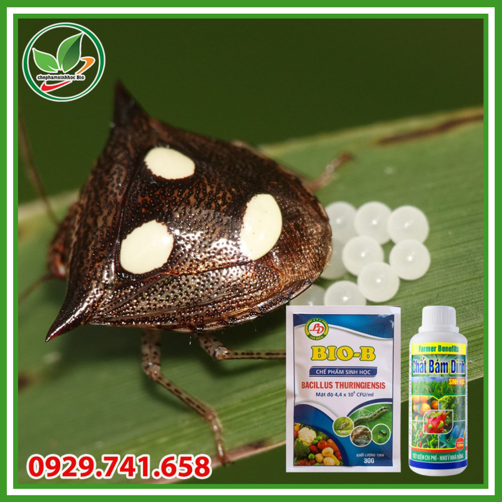 Combo chế phẩm trừ sâu sinh học biob gói 30g và chất bám dính 120ml