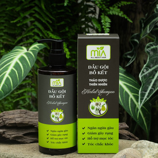 Dầu gội thảo dược ngừa gàu, dầu gội giảm rụng tóc bưởi bồ kết 100% Organic an toàn lành tính kích mọc tóc