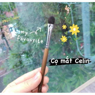 Tổng hợp cọ lẻ mắt Celin