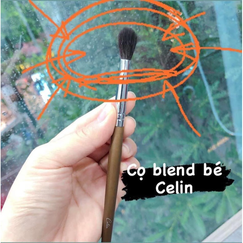 Tổng hợp cọ lẻ mắt Celin