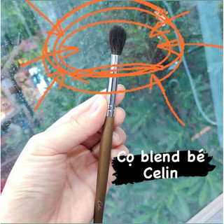 Tổng hợp cọ lẻ mắt Celin