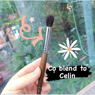 Tổng hợp cọ lẻ mắt Celin